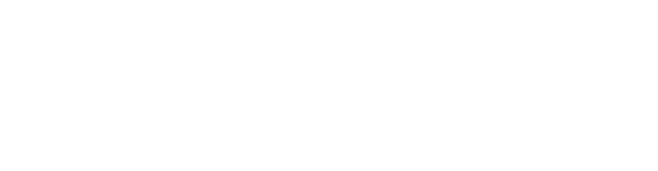 Scott Country International logo